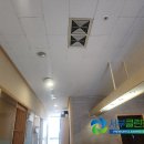 대명 글로벌 비즈스퀘어 | 안양 동안구 매립덕트 시스템에어컨청소 곰팡이 제거 대명글로벌 비즈스퀘어 매장 사무실