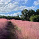 불갑사관광지 안내소 이미지