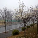 충남농산 네이버블로그