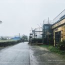 (주)제주친구 이미지