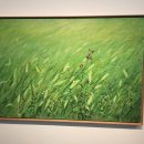 서구-01-27 이미지