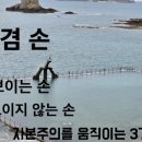 세렌디피터 이미지