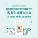 블루랙돌 | 밀양고양이분양 랙돌분양후기 총정리 가이드 | 후회 없는 선택 기준