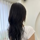 아름히메