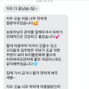 비숑다움 이미지