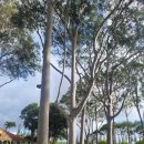 쭉돌농장 이미지