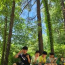 비채야영장 이미지