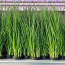 플러스농장 이미지