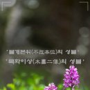 2024-07-16 하루를 살리는 한 문장 by ‘불개본위(不改本位)의 성불’과 ‘목화이상(木畵二像)의 성불’ 이미지