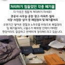 거성기전 이미지