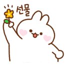 스콜라몬테소리 이미지