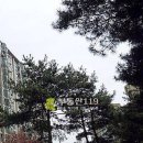 용구대로 2771번길 이미지