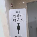 펫바보