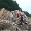 천리포항 이미지