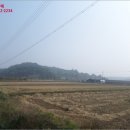 광산구-146 이미지