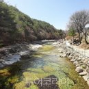 용소사계절 이미지