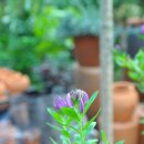 월평3호 이미지