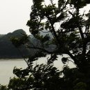 코끼리바위앞민박 이미지