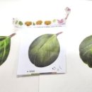 힐링 색연필화 이미지