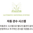 맑음그린 이미지