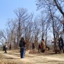 팅커벨하우스 이미지