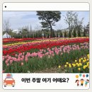 자전거체험학습장 | 평택농업생태원 놀이터 축제 기간 주차 꿀팁 튤립 보러 가도 될까?