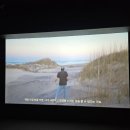 서11-402 | 서울전시회 추천 &#39;알렉스키토 사진전 후기&#39; 지친 일상에 스며든 따뜻한 감성