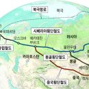 유라시아 - 안산시 단원구 | 유라시아