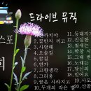 라나 이미지