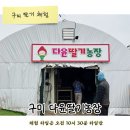유일한농장 | 두돌아기 딸기 파티! 구미 고아읍 다윤딸기농장 체험 후기
