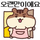 두쏠헤어 이미지