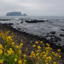 바닷가 산책 이미지