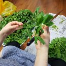 베토벤피아노사 이미지