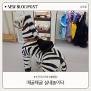 떼굴떼굴 | 청주 무인 키즈카페 떼굴떼굴 실내놀이터 율량점 내돈내산 이용 후기