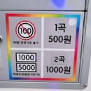오디션 코인노래연습장 이미지