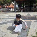 NTS태권도장 네이버블로그