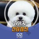 Dr. 오즈 동물병원 | 강아지 건강검진 - 분당 Dr. 오즈 동물병원