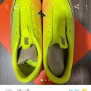 (주)단디온 이미지