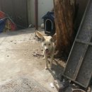 미소짓개 이미지