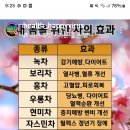 건강에좋은 차 종류 이미지