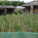 대운산리 이미지