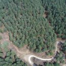 홍천국유림관리소 이미지