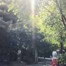 성진동물병원 네이버블로그