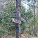 우주경로당 이미지