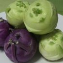 콜라비
