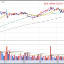 엘앤씨컴퍼니 이미지
