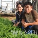 가연농장 이미지