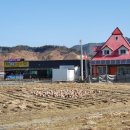 섬강공인중개사사무소 이미지