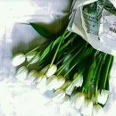 행복한하루 이미지