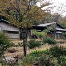 밤나무골 농장 이미지